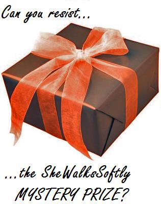 wrapped_present_box