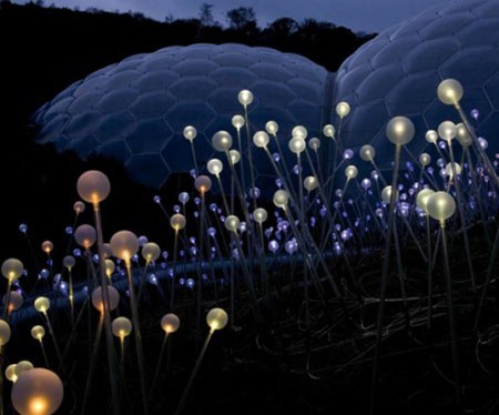 fiberoptic-1 fiberoptic-1