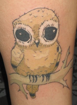kristin-young-owl