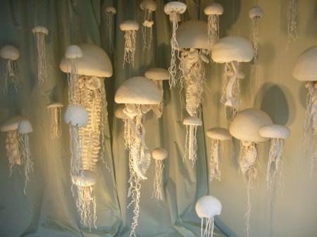 jellyfish1