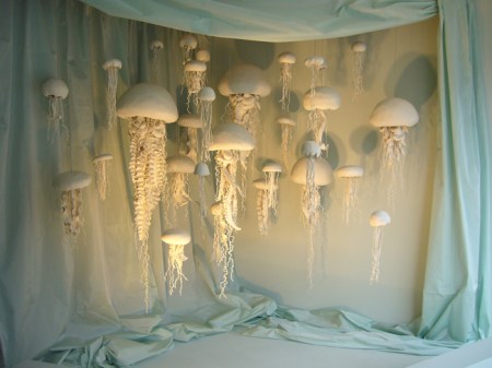 jellyfish2