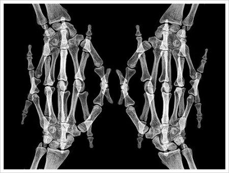 126363018_9c80329760