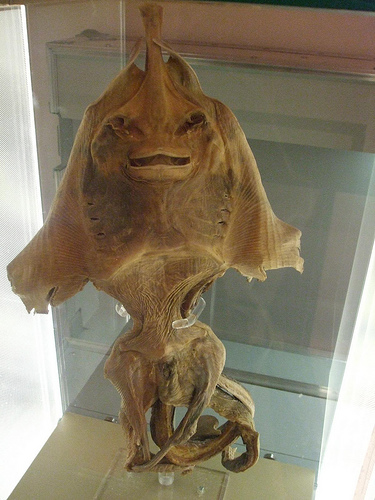 2876970480_4e5c0b7e4b