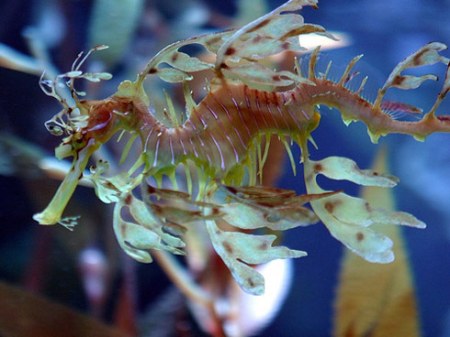 294291636_c9a6d864fe