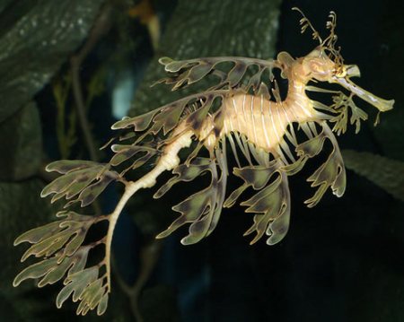 3003007592_4f2a1d94d4