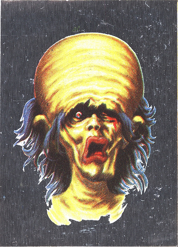 3414342065_83e1f9b308