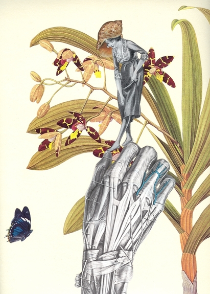 Image-5624-791377-caution