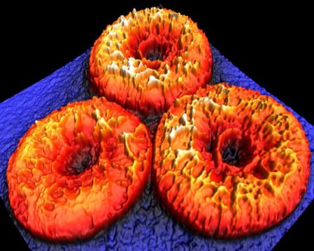 Nanoscale-imaging-donut-blood-cells Nanoscale-imaging-donut-blood-cells