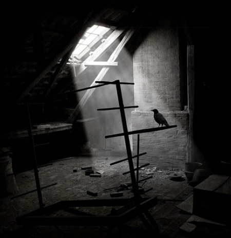 3557026353_d6542834c3