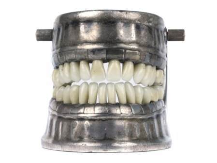 dental-model-vecabe-103