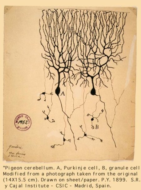 RKBSJS2N6p56fbcznvTBPxNDo1_500