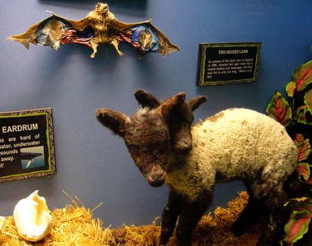 1020002816_5a059f69c5