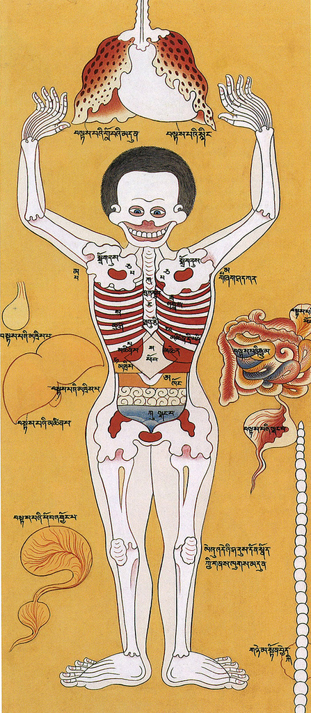 3749640599_be353dd16b_b