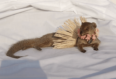 ta77XirPVqgezit4WD7wZp1go1_500