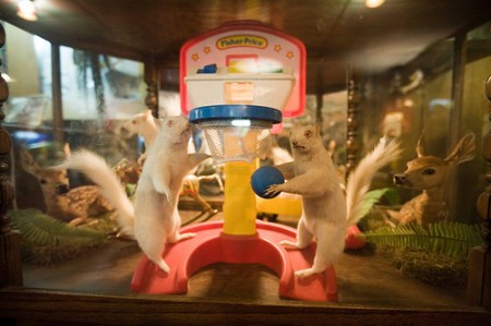 ta77XirPVqgiaqqpgN1cUJKbo1_500