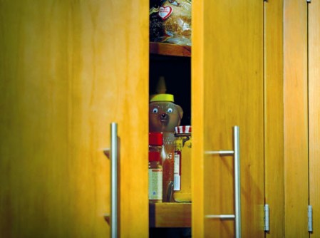 imageshoneyBear_20is_20watching