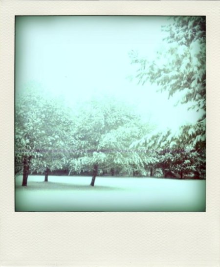 n1061994484_226730_346