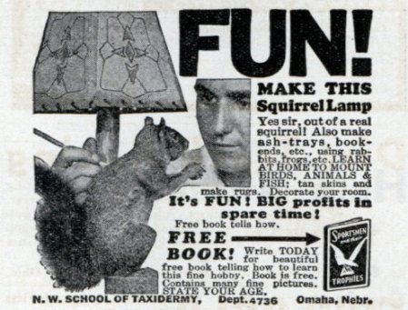 squirrel-lamp
