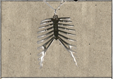 ribcage