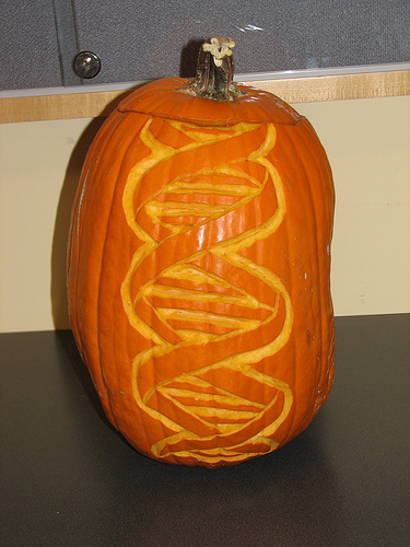 285224656_47b5586fae