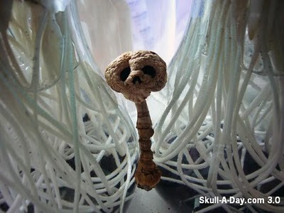 20100209_SkullDried