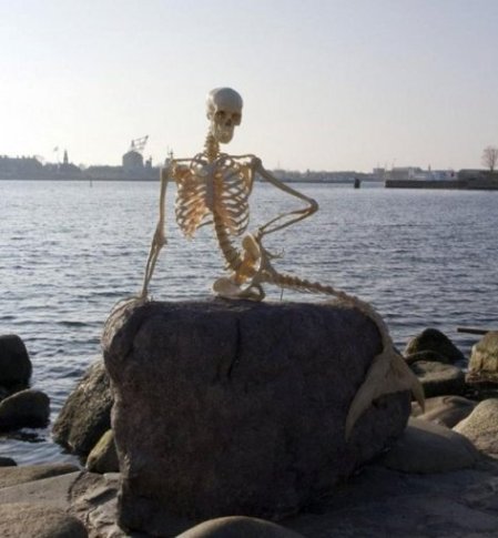 mermaid-skeleton