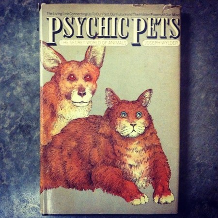 121526889915366141_b3c36wUp_f