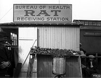 79024168431755397_Y4aVezXS_f