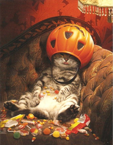 141441244517966863_IhKn58PA