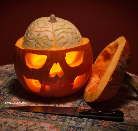 PumpkinAnatomy2