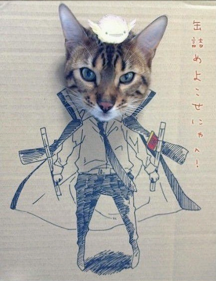 tumblr_mboytfhsk81rrhjaso6_500