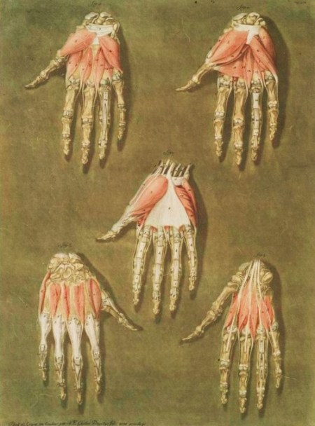 tumblr_m3o83xZk9N1qb4enoo1_500