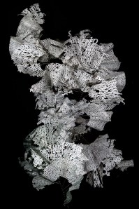 ebon-heath-typography-sculptures