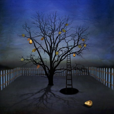 taylor_NightGarden_el