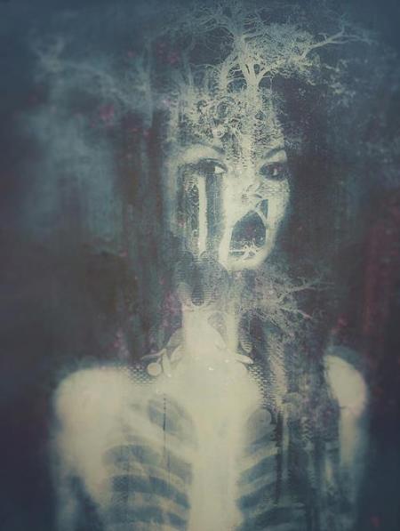 379500_223444394402152_1101971876_n