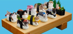 sushi-cats-2
