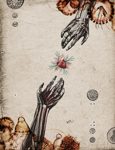 Biological (by Randy Mora)