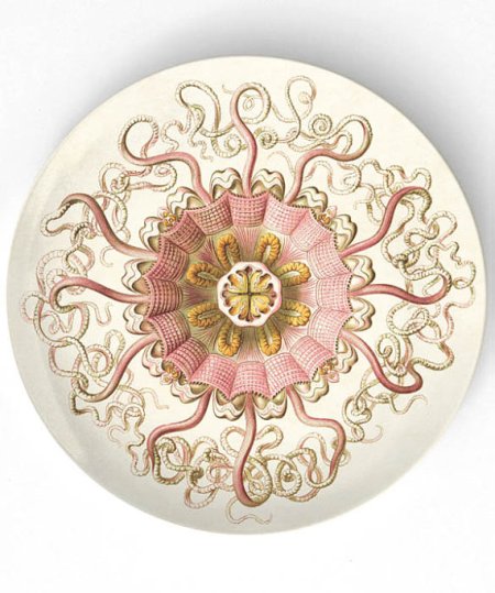 il_570xN.436105883_cvic