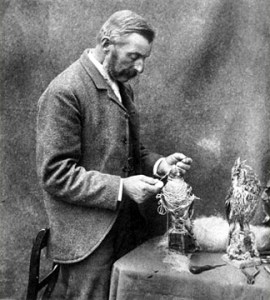 Walter Potter working