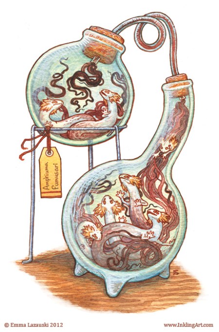 822eee02c98c54ba69ea4893b0bbc973-d4yxt02