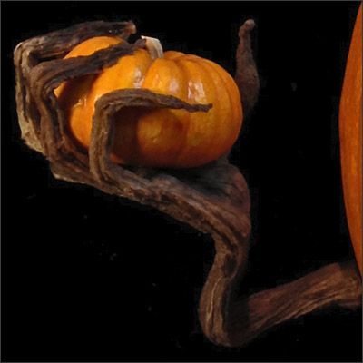 5ea56d66a2d3306e00c107da70113880_f269