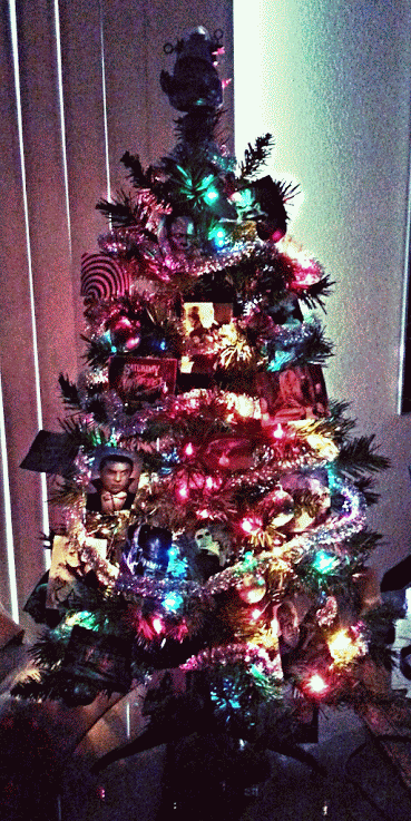 IMG_20131219_074359-TWINKLE