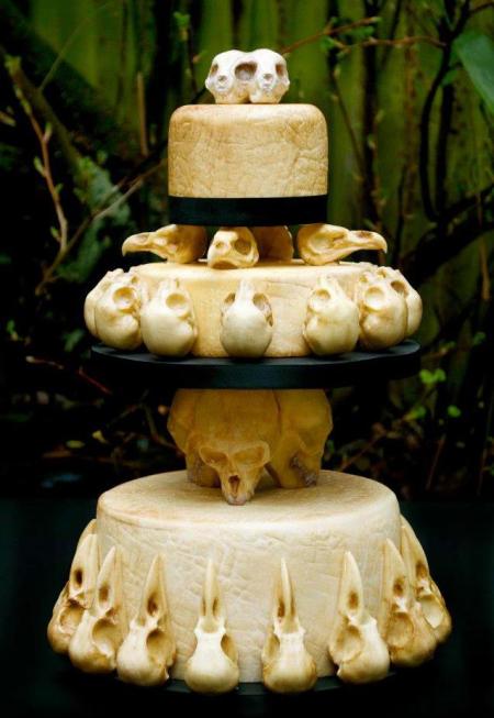 555049_556909094342504_1418340931_n