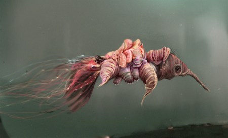 b610b4e086274943ef988e99d674ba9c