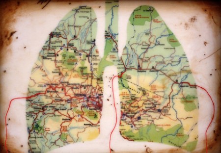 IMG_3304_1024x711_large