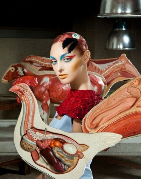 tumblr_msa84xPW641rsnzy2o4_500