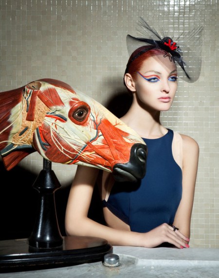 tumblr_msa84xPW641rsnzy2o6_500