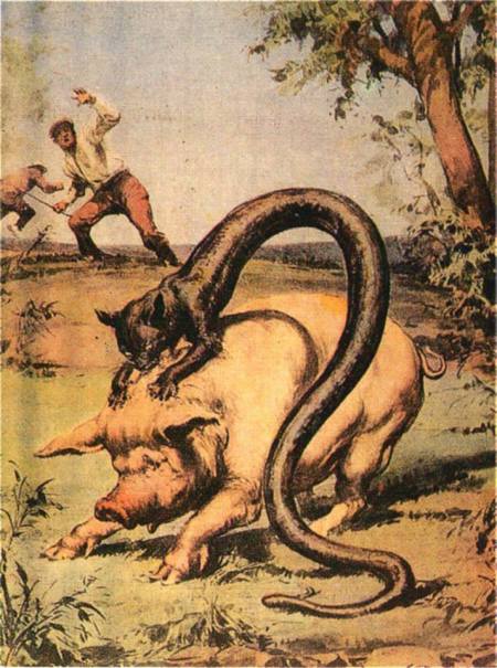 1530340_515461228567147_310924455_n