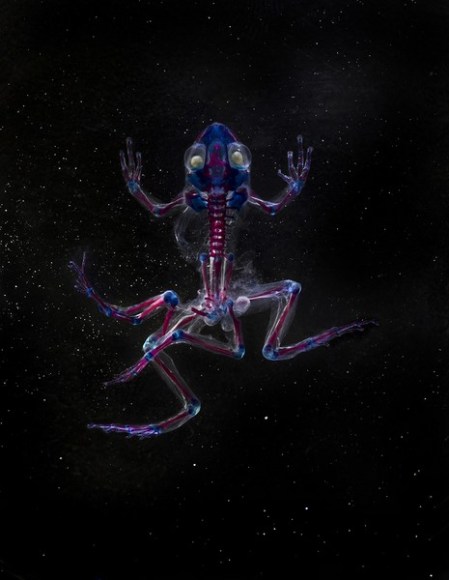 slide_343009_3555120_free