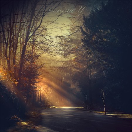 shadowlands_by_nina_y-d6uy4d6